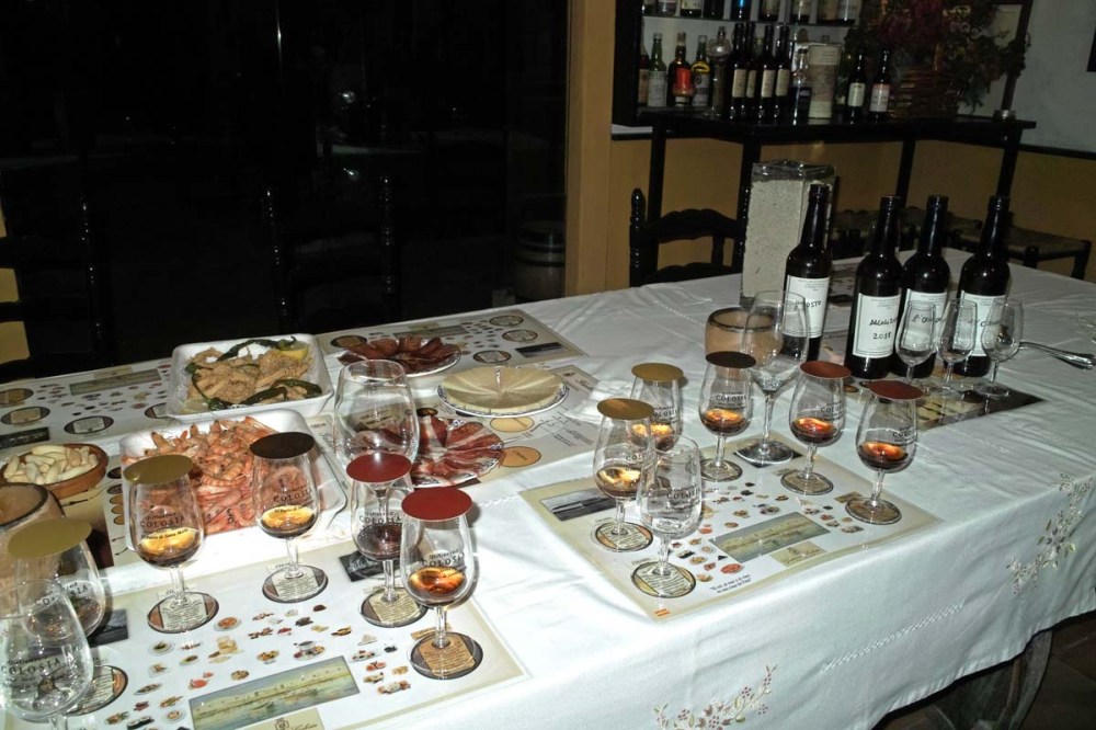 PSM Gutierrez Colosia 02