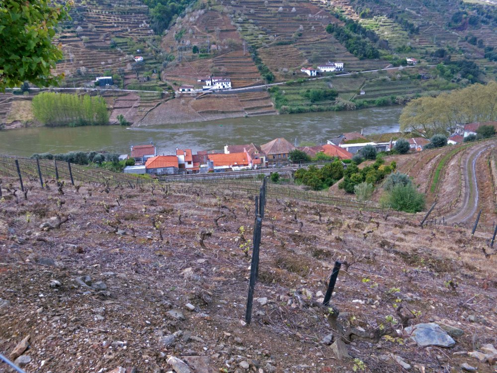 Portugal Alves de Souza_10