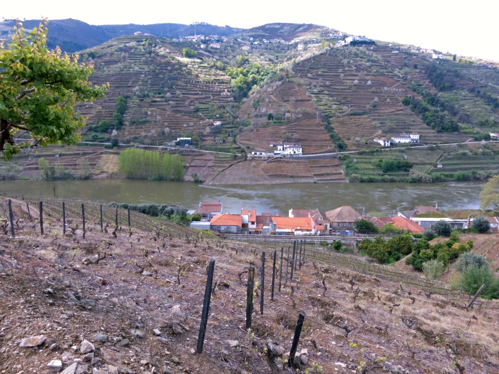 Portugal Alves de Souza_13