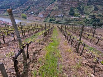 Portugal Alves de Souza_42