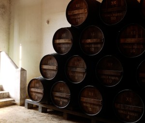 Ximenez Spinola botas PX