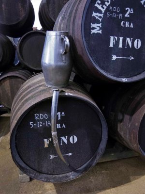 Maestro Sierra andana de fino