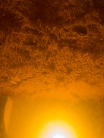 Maestro Sierra velo de flor