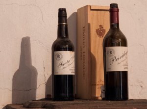 Jerez Hidalgo__1060832